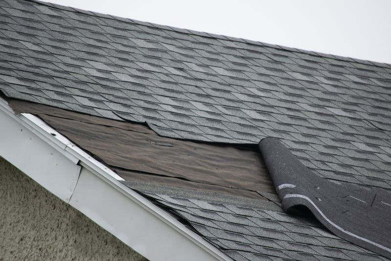 Shingle Layer Reinforcement