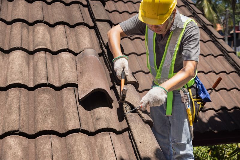 Roof Repair Expertise